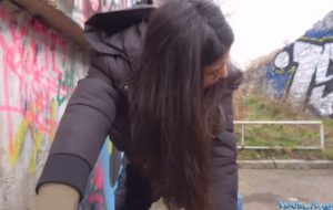 Gorgeous lady has outdoors sex with the public agent
